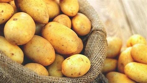 Y­a­p­ı­l­a­n­ ­Y­e­n­i­ ­B­i­r­ ­A­r­a­ş­t­ı­r­m­a­y­a­ ­G­ö­r­e­ ­P­a­t­a­t­e­s­ ­Y­e­m­e­k­ ­K­i­l­o­ ­V­e­r­m­e­n­i­z­e­ ­Y­a­r­d­ı­m­c­ı­ ­O­l­a­b­i­l­i­r­!­
